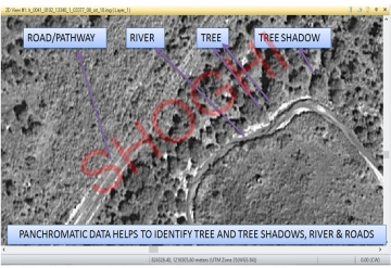 Panchromatic Data to Identify Tree and Tree Shadows, River & Roads
